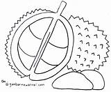 Buah Mewarnai Diwarnai Durian Buahan Putih Sketsa Fruits Marimewarnai Naga Kolase Tempatan Bagus Animasi Waffle Lukisan Hewan Makanan Delima Manggis sketch template
