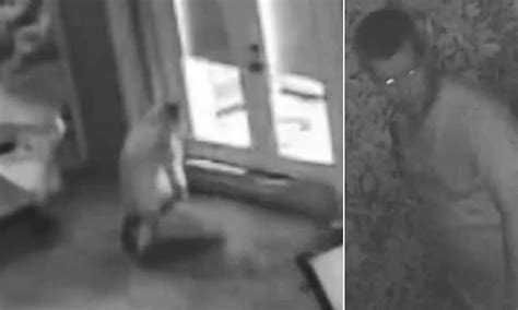 peeping tom is prowls around florida home and masturbating while