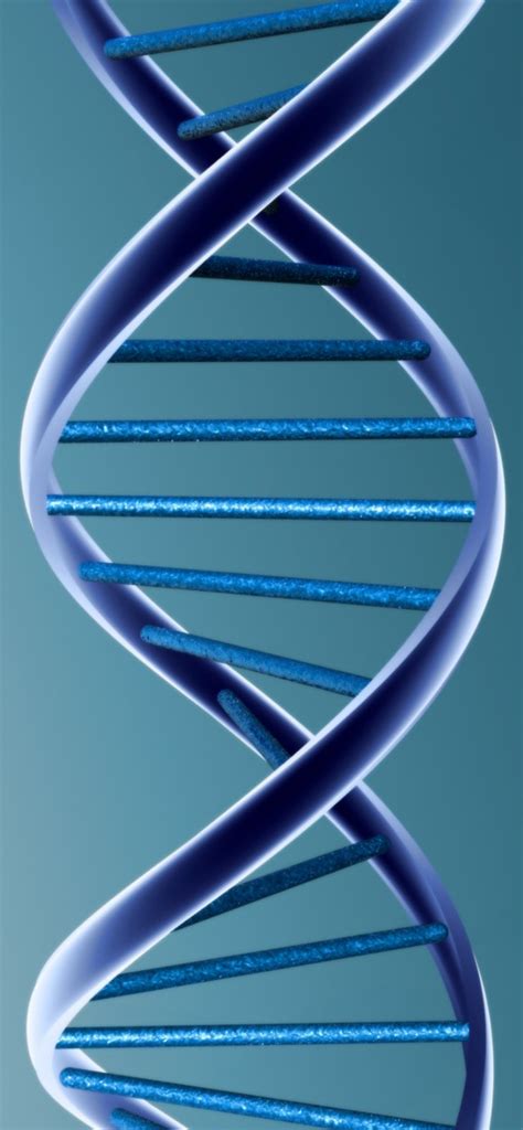 gene expression  key  understanding differences  individuals