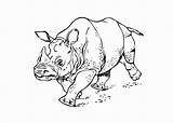 Rhino Coloringbay Awakens Force sketch template