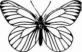 Motyl Motyle Druku Kolorowanki Kolorowanka Drukowania Ladny sketch template