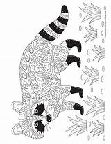 Raccoon Colouring Zentangle Woojr Abstract Mycoloring Coloringbay Skunk sketch template