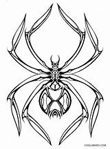 Spinne Widow Ausmalbilder Spiderman Spinnen Arañas Malvorlage Cool2bkids Clipartmag Araña sketch template