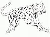 Coloring Pages Animal Jaguar Animals Realistic South Kids Drawing America Simple Color Print American Printable Jungle Step Jumping Big Drawings sketch template