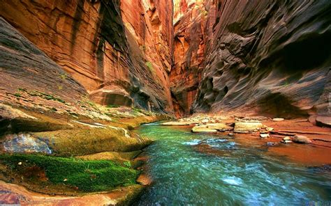 stany zjednoczone stan utah park narodowy zion kanion skaly rzeka