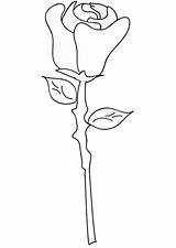 Rose Coloring sketch template