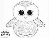 Owl Coloring Pages Beanie Boo Cute Owls Printable Print Kids Color Popular sketch template