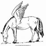 Pegasus Pegaso Fluegel Grossen Cavallo Einhorn Malvorlage Fantasie Malvorlagenxl Ausmalbild sketch template