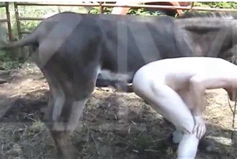 Guy Excites Bull And Acquires Drilled