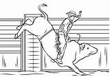 Rodeo Riding Toros Monta Toro Jinete Rider Bucking Bulls Cowboys Draw Niños Supercoloring Coloring sketch template