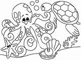 Turtle Starfish Corals sketch template
