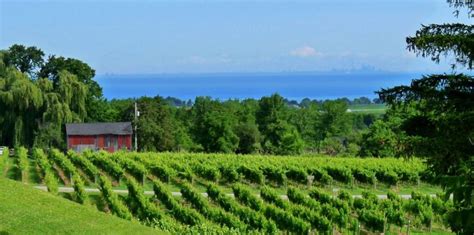 experience  lake erie wine trail  north east pennsylvania