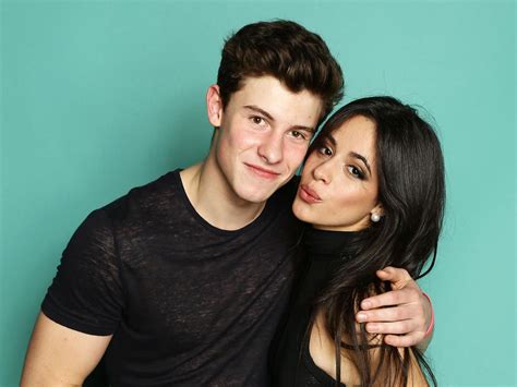 fake or not the relationship between shawn mendes and camila cabello
