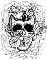 Skull Detailed Drawing Coloring Pages Adults Color Getdrawings sketch template