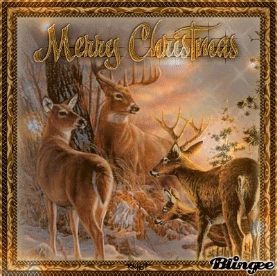 merry christmas deers picture  blingeecom