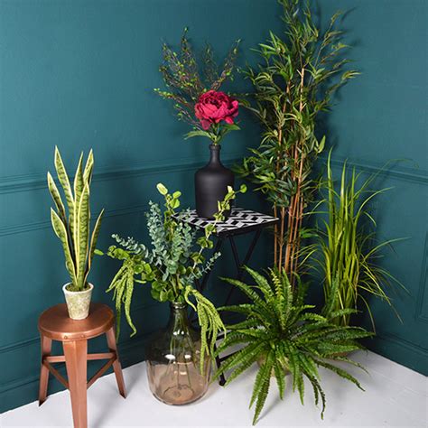 botanical blooms   artificial house plants ideal