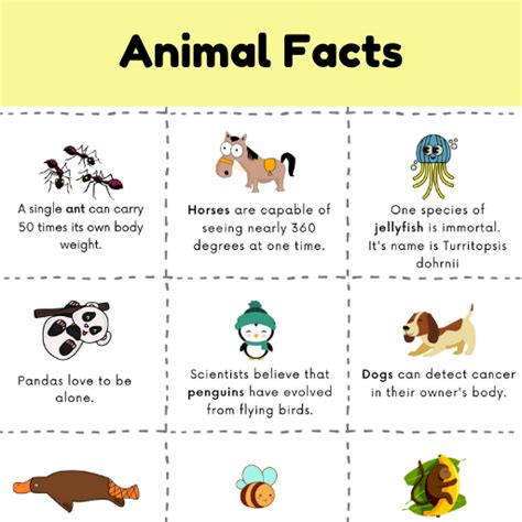 fun facts  animals  kids  printable shining brains