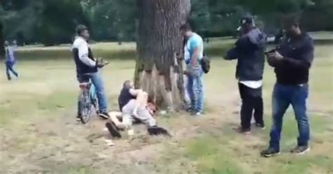 Horny Couple S Sex Antics In Public Park Draws Large Crowd Of