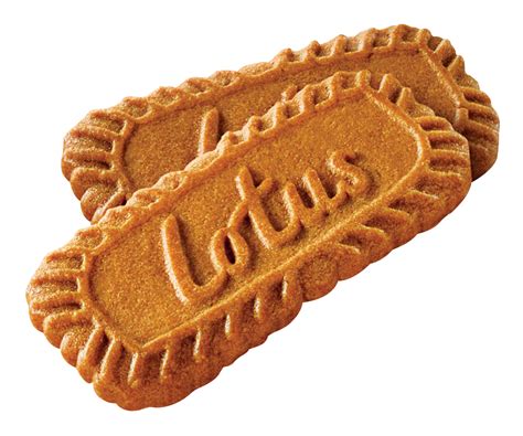 lotus coffee biscuit png image purepng  transparent cc png