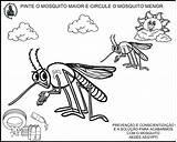 Zika Dengue Mosquito Educação Aegypti Aedes Combate Pequenos Pensantes Chikungunya Projeto Infantiles Alfabetização sketch template