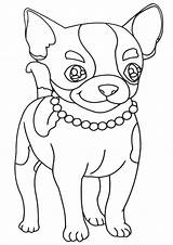 Chihuahua Coloring Pages Print Animal Coloringway sketch template