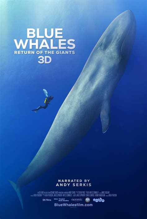 blue whales sk films