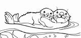 Otters Otter Kolorowanki Wydra Dory Finding Bestcoloringpagesforkids sketch template