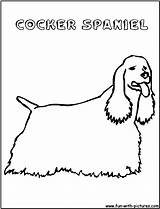 Cocker Spaniel Pages Coloring Template sketch template