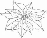 Poinsettia Coloring Pages Printable Kids Christmas Bestcoloringpagesforkids sketch template