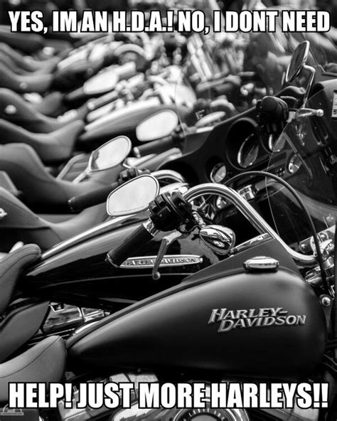 Pin By Erin Marie On Yes Yes And Yesss Harley Davidson Harley