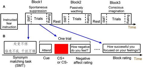 frontiers individual differences  spontaneous expressive suppression predict amygdala