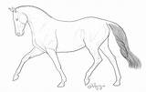 Horse Coloring Pages Breyer Jumping Show Morgan Color Colouring Print Sheets Horses Printable Animal Getcolorings Library Clipart Outline Collection Getdrawings sketch template