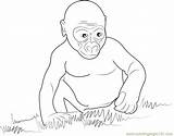 Gorilla Baby Coloring Pages Coloringpages101 Color Print Getcolorings sketch template