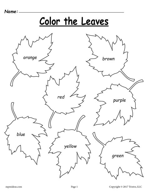 fall leaf color words worksheet supplyme