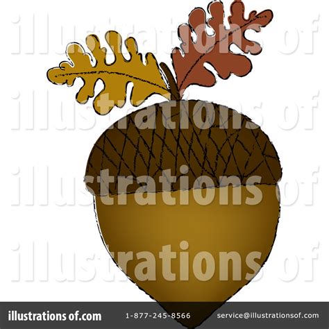 acorn clipart  illustration  pams clipart