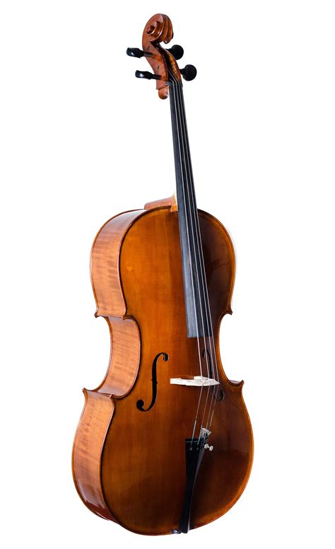 violoncello parma   tommaso pedani liutaio archettaio