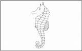 Coloring Seahorse Sea Animals Tracing Pages Mathworksheets4kids sketch template