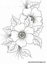 Flower Drawing Drawings Riscos Flowers Sketches Coloring Choose Board Patterns Pages sketch template