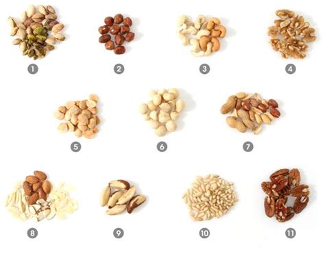 nuts visual guide   nuts  nuts learn    common