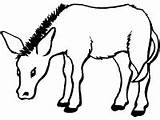 Mule Coloring Activities School Donkey Printable sketch template