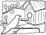 Uccelli Casetta Vogelhaus Ausmalbild Ausmalbilder Feeder Birdhouse Kleurplaat Vogelhuisje Casette Domek Uccellini Vogelhuis Kleurplaten Nido Stampare Maken Vögel sketch template