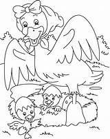 Duck Family Coloring Pages Kids sketch template