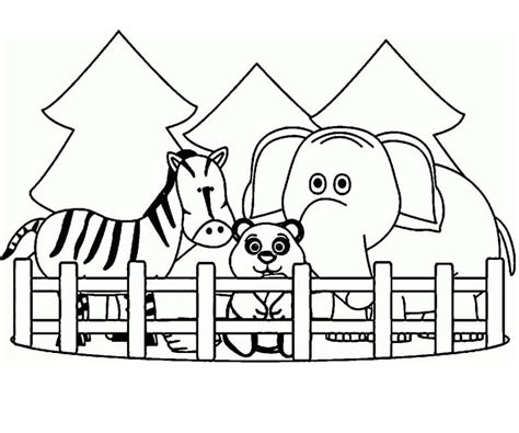 zoo animals  print coloring page  printable coloring pages  kids