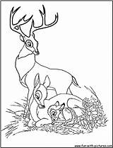 Bambi Coloring Pages Disney Family Bing Printable Friends Adult Colouring Ausmalbilder Fun Sheets Cartoons Getcolorings Print Choose Board sketch template