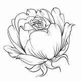 Rosebud Coloring Pages категории все из раскраски Flowers sketch template