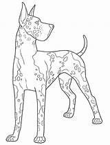 Coloring Pages Dane Great Dog Color Adult Colouring Dogs Scottish Drawings Publications Dover Book Terrier Drawing Doverpublications Printable Danes Animal sketch template