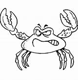 Crab Caranguejos Crabs Coloring sketch template