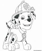 Paw Patrol Coloring Marshall Pages Drawing Draw Printable Colouring Sheets Sky Print Birthday Color Colorare Da Sheet Template Mewarnai Kids sketch template