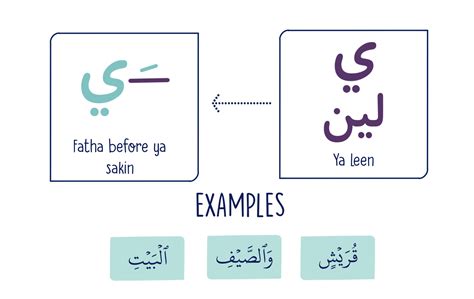 leen letters  soft vowels al qasas learning
