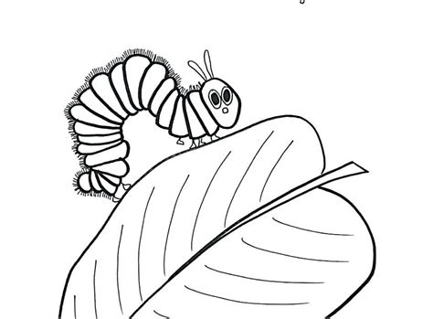hungry caterpillar food coloring pages  easy  colour